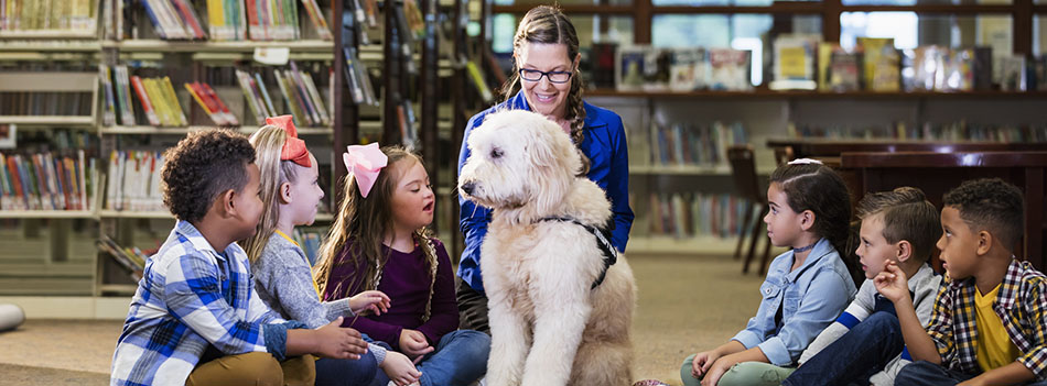 A multi-ethnic group of six boys and girls sitting on the floor of a library, meeting a reading assistance therapy dog, a goldendoodle who is trained to listen to children read. The dog handler is a mature woman in her 50s who is smiling and encouraging the children to interact with the dog. The girl 3rd from the left has down syndrome.
