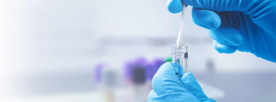 FSG-LABORATORIO-BLOG-950×351