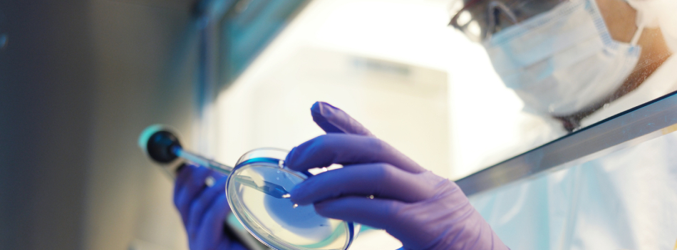 palestra-biomedicina