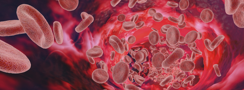 hematologia