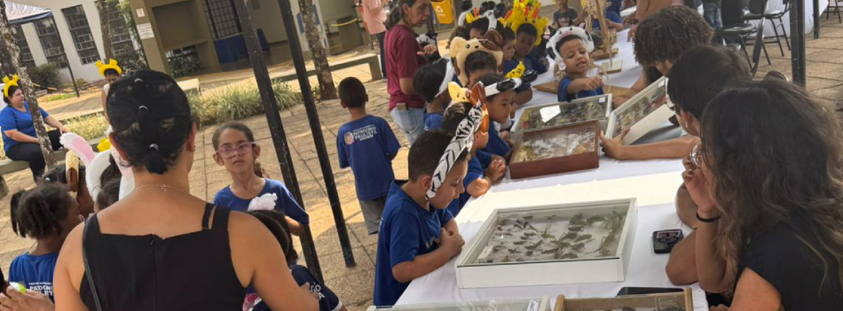 safari-mirim-2024