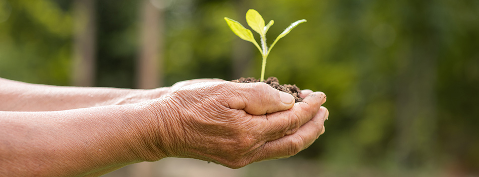 banner-sustentabilidade